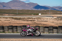 Advanced Group Multicolour Bikes